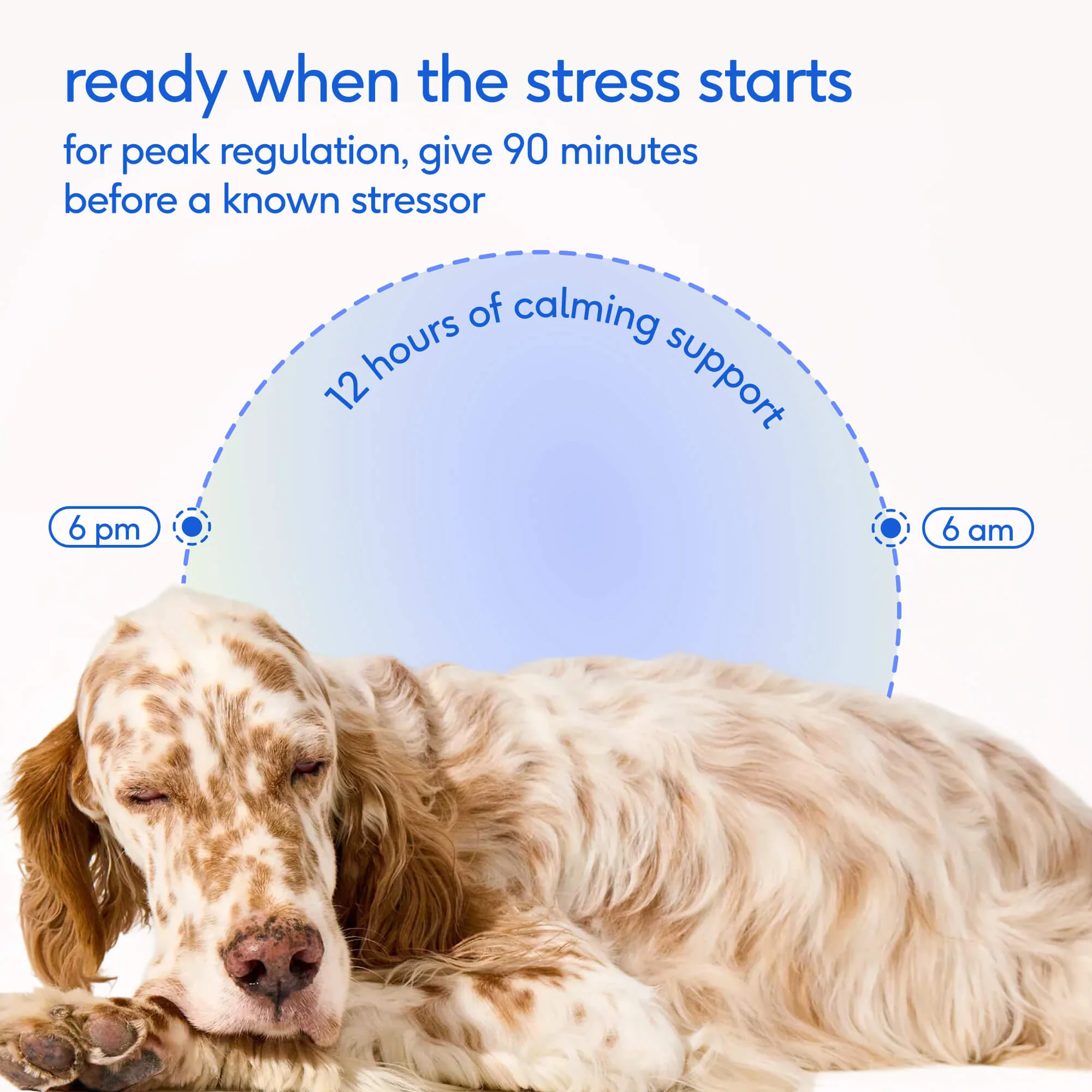 Advanced Calm Chews - Image 6