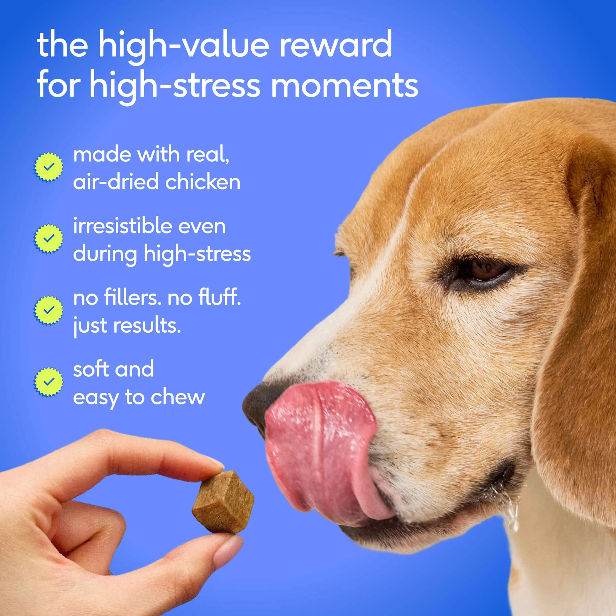 Advanced Calm Chews - Image 8